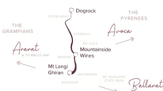 COVID Stories - Mountainside Wines, Warrak