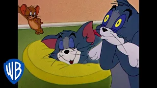 Tom und Jerry auf Deutsch | Zuhause ist da, wo dieses Duo sich wohlfühlt | WB Kids
