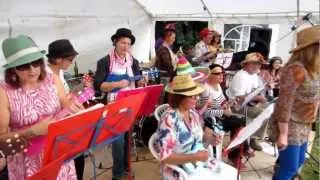 The Castlefields Ukulele Orchestra Live 01 - Reach (CUO live at Castlefields Pleasure Day 5/08/2012)