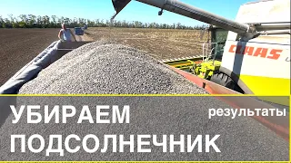 ВСЕ БЫЛО НЕ ЗРЯ | Результат уборки подсолнечника 2022