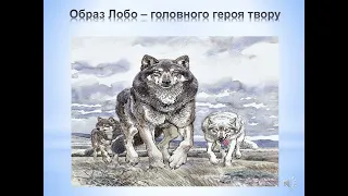 Ернест Сетон-Томпсон. "Лобо". Образи тварин, розкриття їх у подіях оповідання