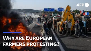 Why are European farmers protesting? | AFP