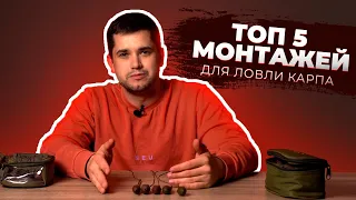 ТОП 5 МОНТАЖЕЙ ДЛЯ ЛОВЛИ КАРПА | КАРПФИШИНГ ДЛЯ НАЧИНАЮЩИХ