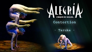 Alegría【2010】- Contortion