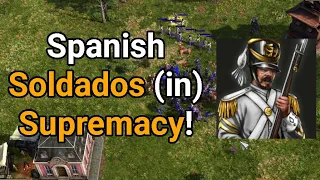 Soldados Are A Gamechanger For Spain! AOE 3 Supremacy Build Order