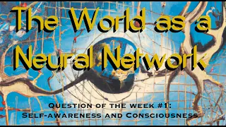 The World as a Neural Network. Question of the Week #1. Self-awareness and Consciousness.