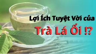 Trà Lá Ổi, Liệu Bạn Có Biết Tác Dụng Tuyệt Vời Của Trà Lá Ổi !?