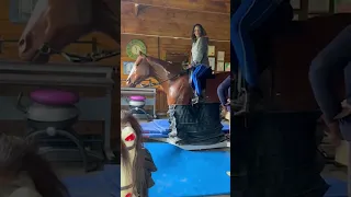 Horse Riding Simulator First Time - Walk.