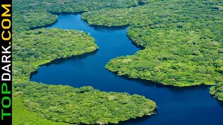 23 Facts and Curiosities About the Amazon Rainforest