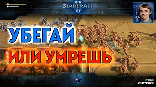 ИГРА-ЛЕГЕНДА: Битва лучших протоссов Америки в StarCraft II с девизом "Убегай или умрешь!"