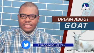 DREAM ABOUT GOAT I Evangelist Joshua Orekhie Dream Dictionary I