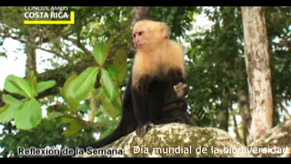 VIDEO PARA EL DIA MUNDIAL DE LA BIODIVERSIDAD 22 05 2020