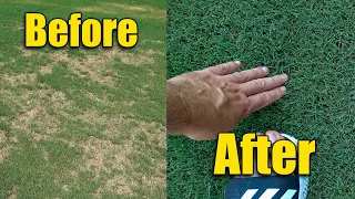 Thick Green Bermuda Lawn - Brown Patches Fixed