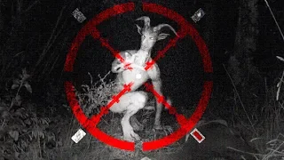 HUNTING the GOATMAN