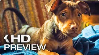 A DOG'S WAY HOME - First 10 Minutes Preview & Trailer (2019)