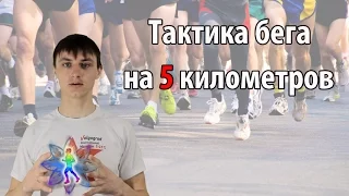 Тактика бега на 5 км