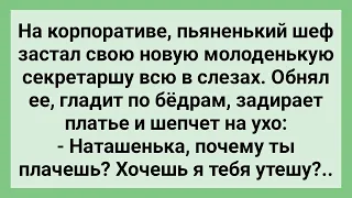 Пьяный Шеф Утешил Секретаршу в Слезах! Сборник Свежих Смешных Жизненных Анекдотов!