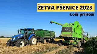 Žetva pšenice 2023 | Loši prinosi |