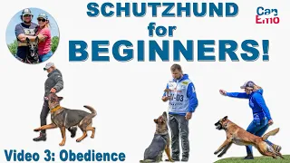 Schutzhund For Beginners: Obedience