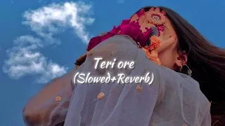 Teri ore (Slowed+Reverb)
