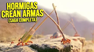 UNAS HORMIGAS crean PODEROSAS ARMAS para PROTEGERSE en una GUERRA | Resumen Minuscule en 10 Minutos