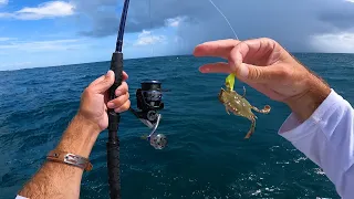 Hardest Fighting Fish I've Ever Caught On A Crab!!!! And Catch and Cook!