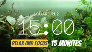 15 minute timer - Relaxing Aquarium ambiance