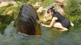 💎💎Miraculous underwater treasure! The girl found precious pearls in a large clam in the river