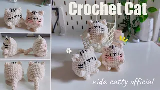 crochet cat  [catty]  ≽^•⩊•^≼  มีแพทเทิร์น ในคลิปนะคะ ✨️✨️🐈