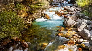 Ep - 4 Road Trip 2020. Short Trek to Baghori Village. Harsil - Uttarakhand..