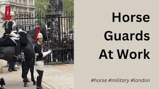 A sight to see at Horse Guards Parade