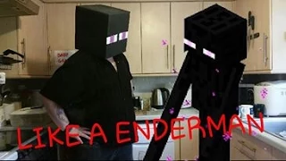 Like An Enderman - Minecraft Parody Gangnam Style (My Version)