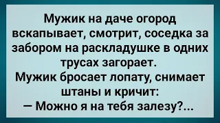 Мужик На Даче Залез На Соседку! Сборник Свежих Анекдотов! Юмор!