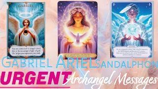 🚨 The Archangels Have URGENT MESSAGES for YOU🪽✨ Archangel Michael has a Special Message too!! 🪬✨