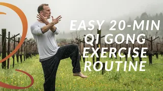 20-Min Qi Gong Exercise Routine - Easy Home Workout with Lee Holden