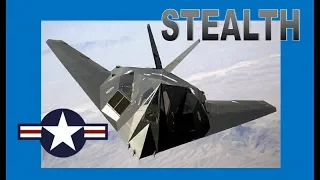 F-117 Nighthawk Stealth Fighter display