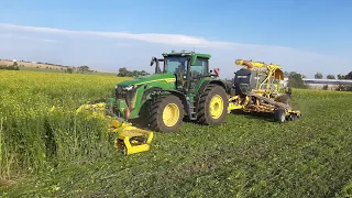 Bednar Directo NO 6000 no-till sowing winter wheat into covercrop