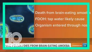 Florida man dies from brain-eating amoeba after using tap water in sinus rinse