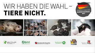 Podiumsdiskussion "Wir haben die Wahl – Tiere nicht. Tierschutz nach der Bundestagswahl 2021"