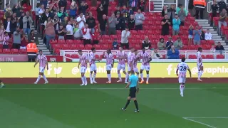 Stoke City - Andre Vidigal Goal Celebrations vs. Watford