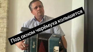 Под окном черёмуха колышется