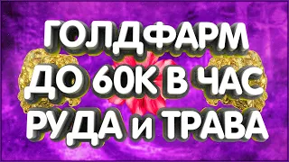 👑Полный гайд по голдфарму на руде и траве до 60к золота в час. Dragonflight пробужденный порядок.