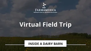 Inside a Dairy Barn | Virtual Field Trip