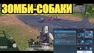 ЗОМБИ-СОБАКИ В КОРОЛЕВСКОЙ БИТВЕ В CALL OF DUTY MOBILE | НОВЫЙ КЛАСС В КОРОЛЕВСКОЙ БИТВЕ