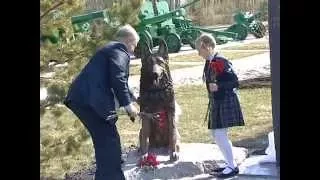 В Казарово открыли обелиск подвигу собак на войне