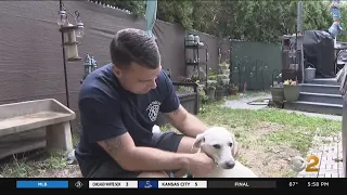 Staten Island Marine reunited with dog he met while deployed