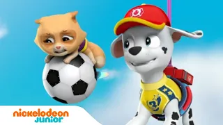 Paw Patrol : La Pat' Patrouille | La Pat' Patrouille joue au football ! | Nick Jr.