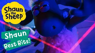 Teddy Heist | Shaun the Sheep Best Bits Season 6