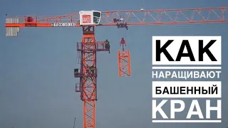 Как наращивают башенный кран. Монтаж башенного крана Giraffe TDK-10.180 | Tower crane assembly