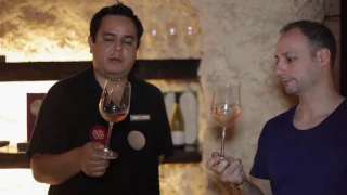 Cheap Vs. Expensive Wine Taste Test/Taste This TV/Joe Ciminera